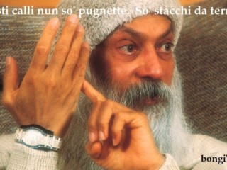 image-osho871-446A_543EF135 nnn